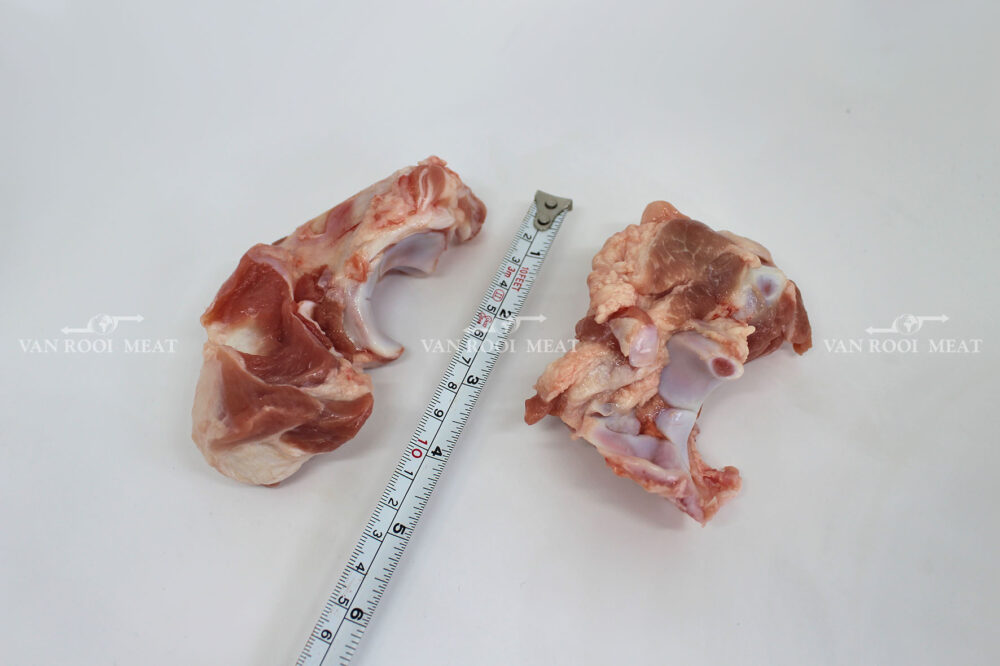 Shoulder Joint Bone-3