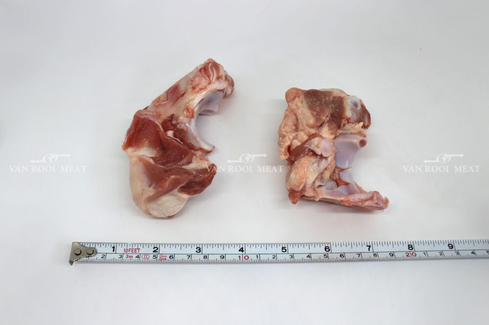 Shoulder Joint Bone-4