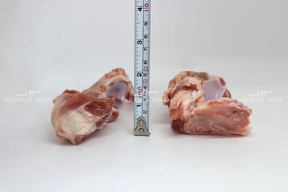 Shoulder Joint Bone-5