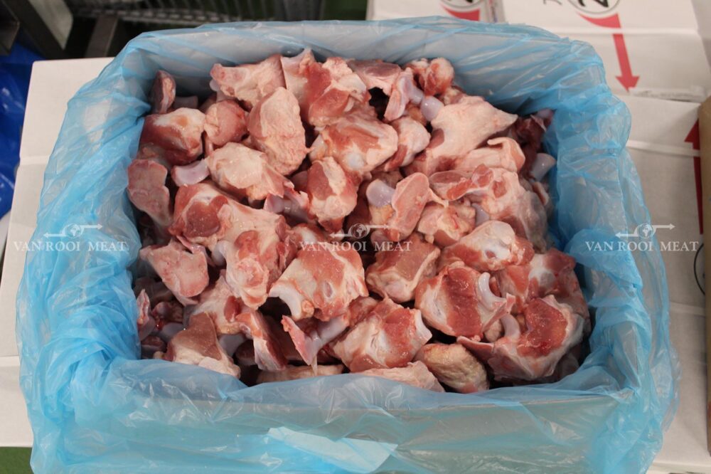 Shoulder Joint Bone-6