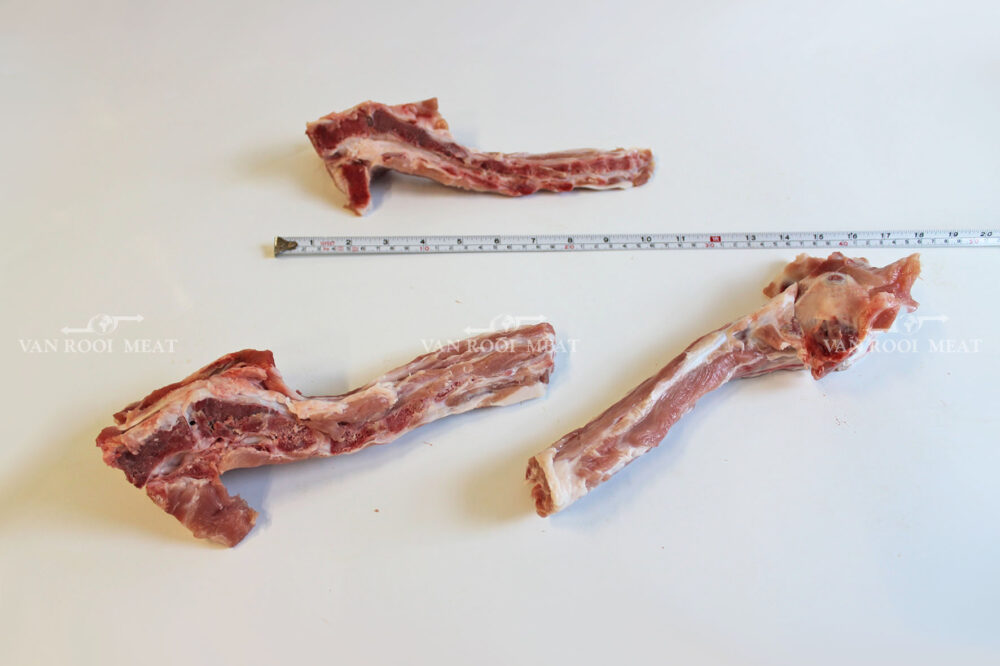 Tail Bone-4