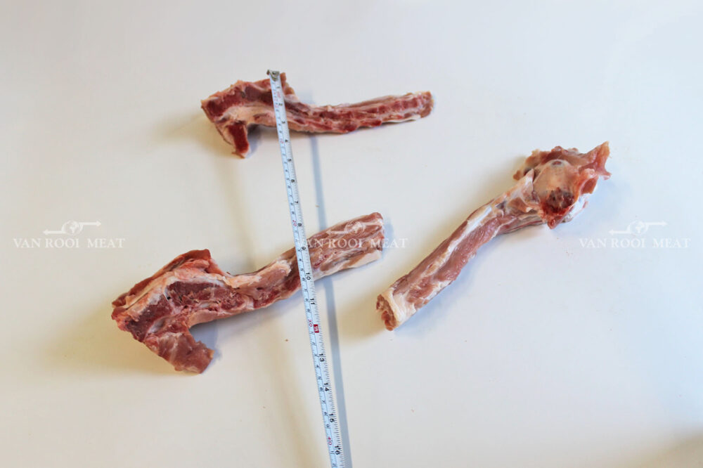 Tail Bone-5