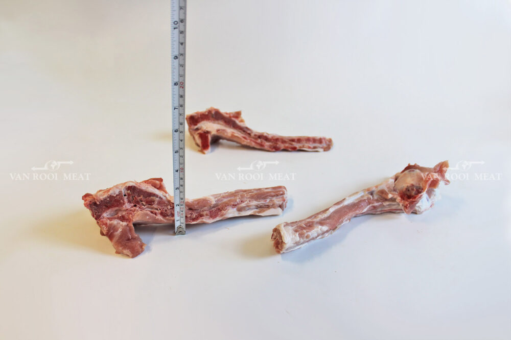 Tail Bone-6