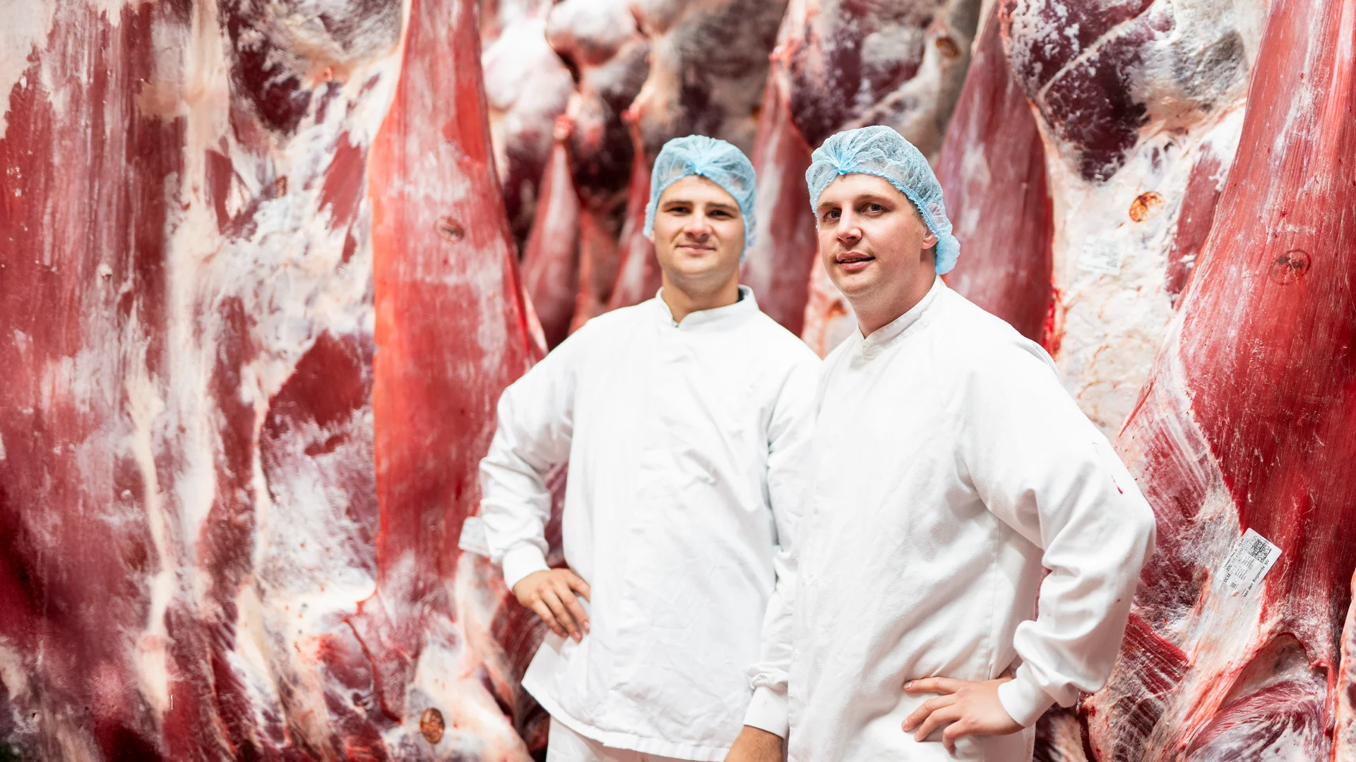 vanrooi-beef-carcas-koeling-personen-header