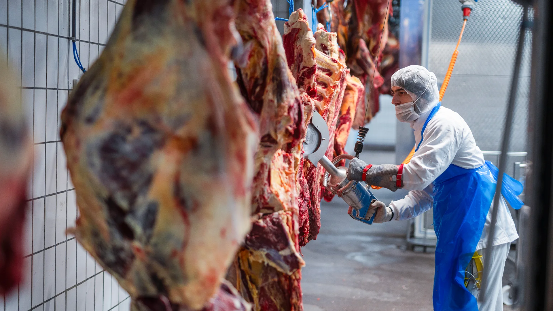 vanrooi-beef-homepage-header