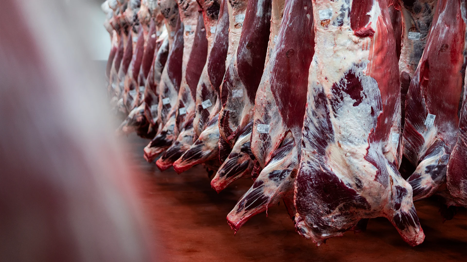vanrooi-beef-koeling-opslag