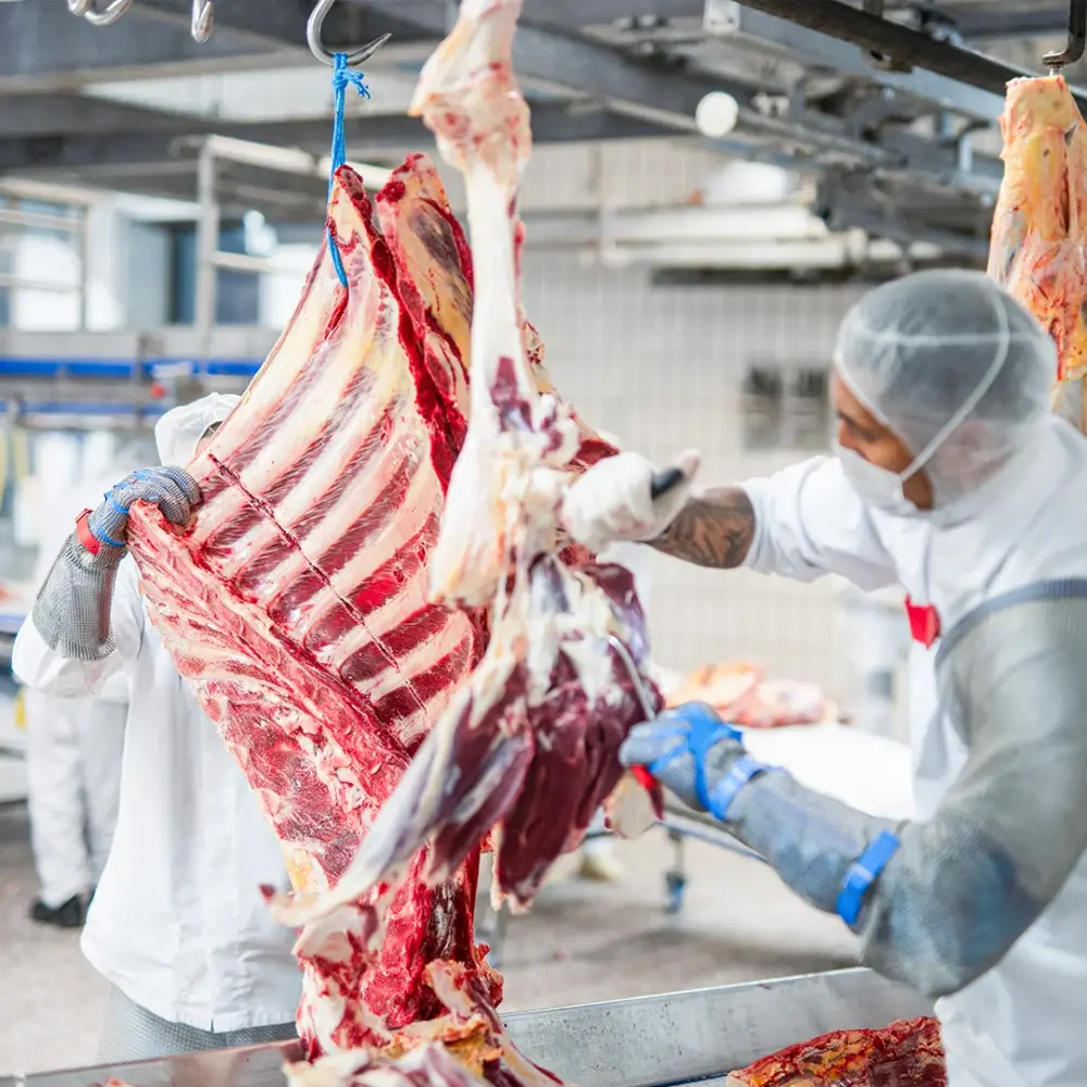 vanrooi-beef-vlees-snijden-2