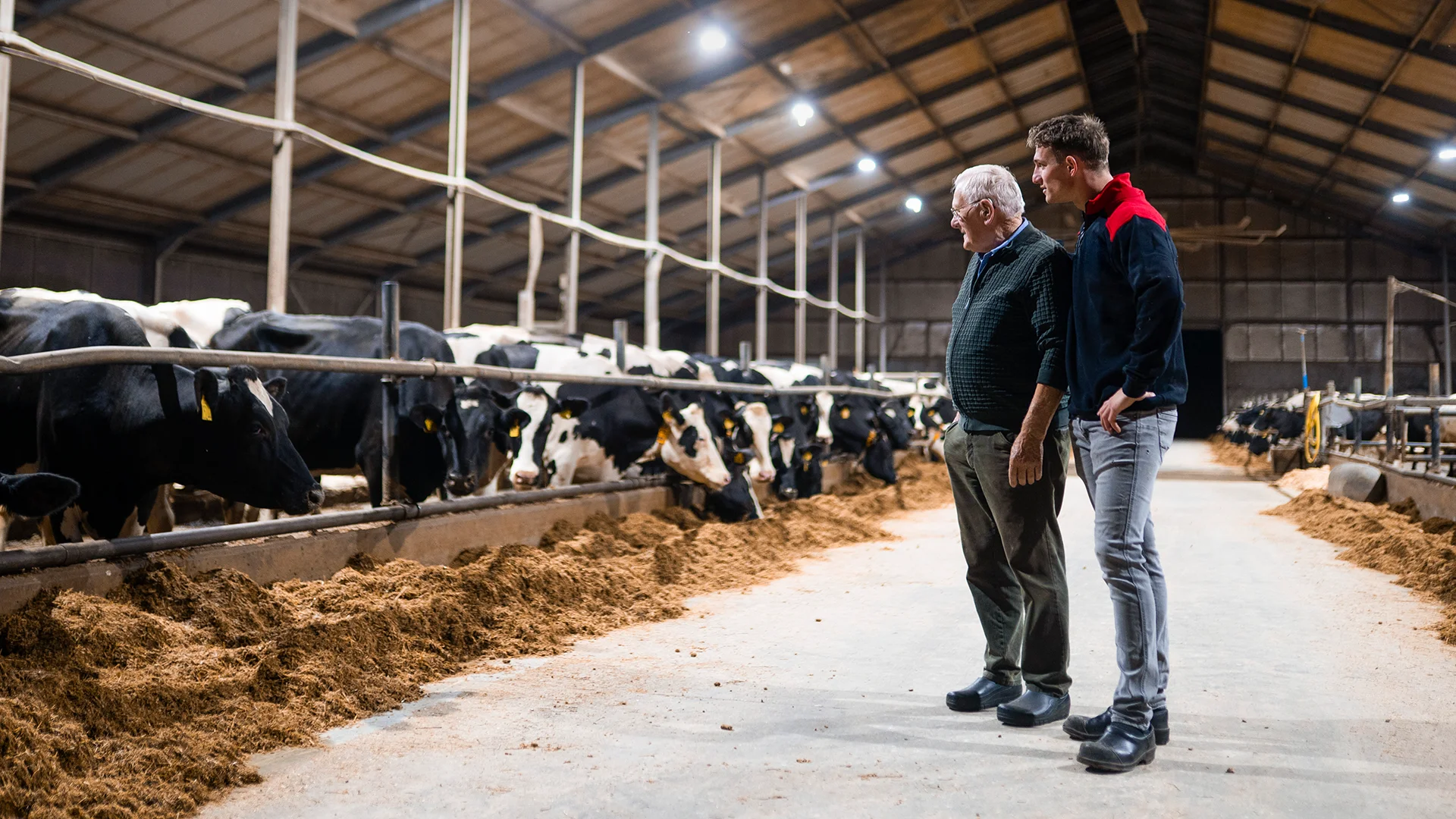 vanrooi-livestock-header-foto-over-ons