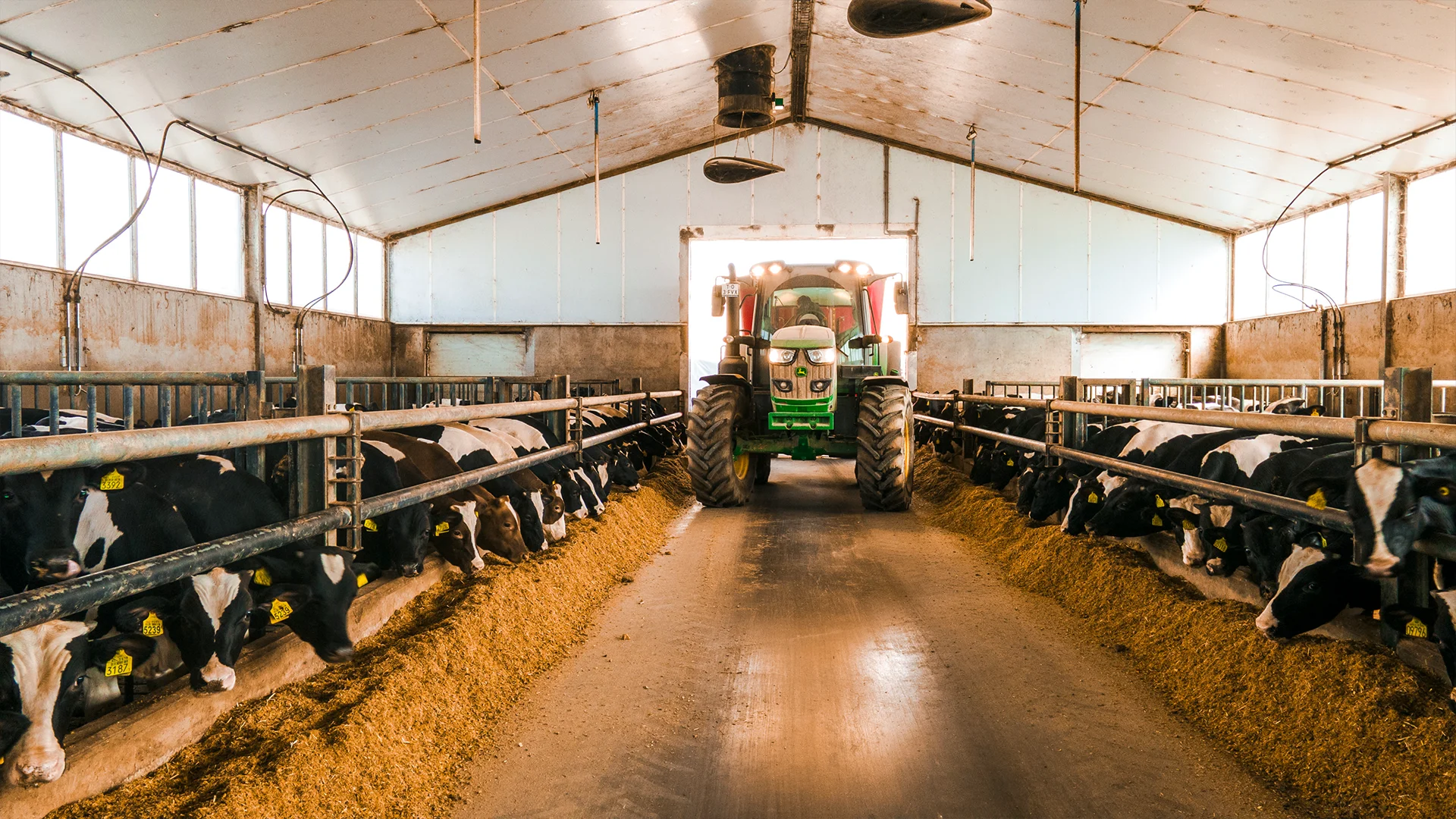 vanrooi-livestock-tractor-runderstal-header