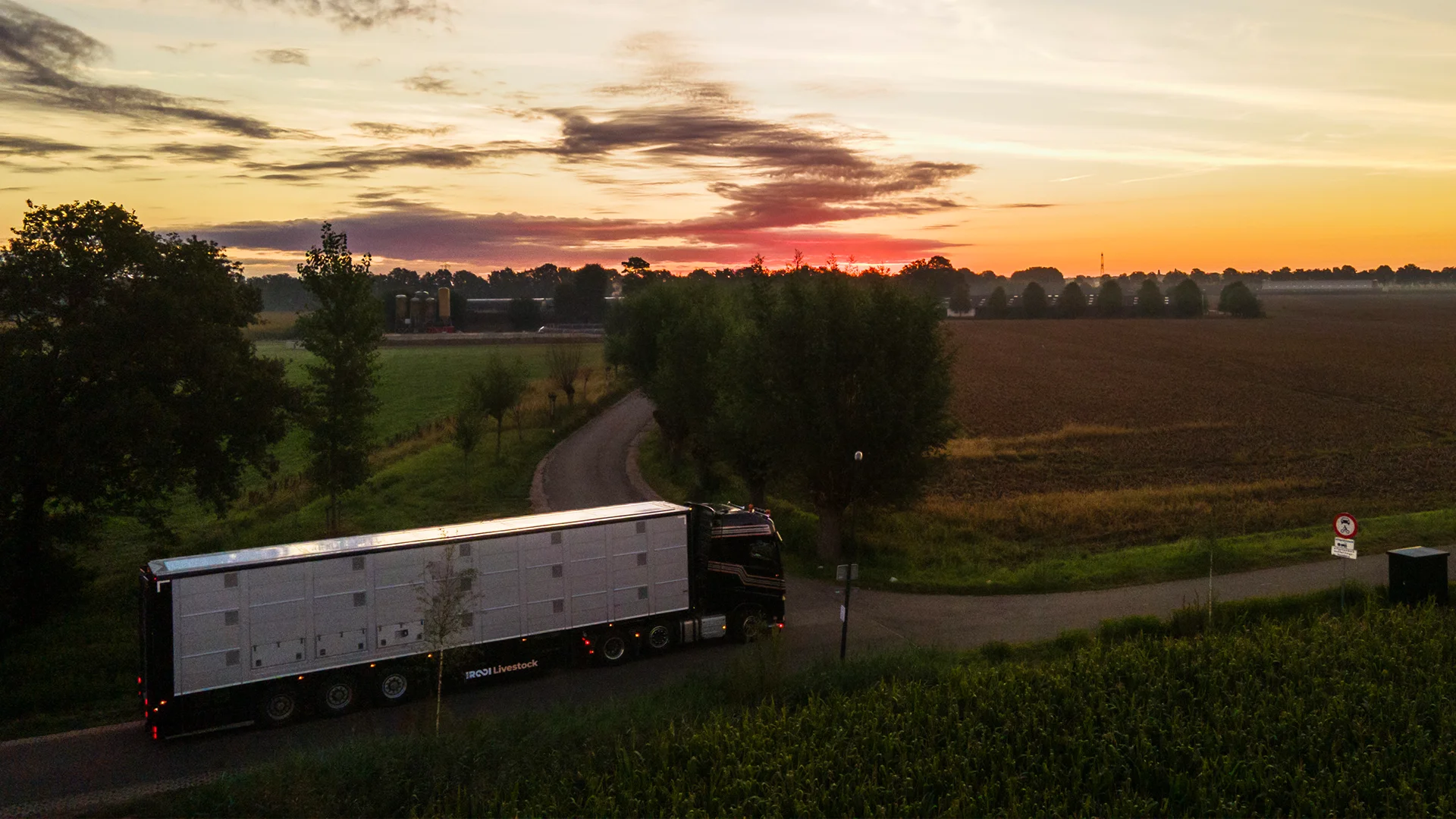 vanrooi-livestock-trailer-ochtendzon