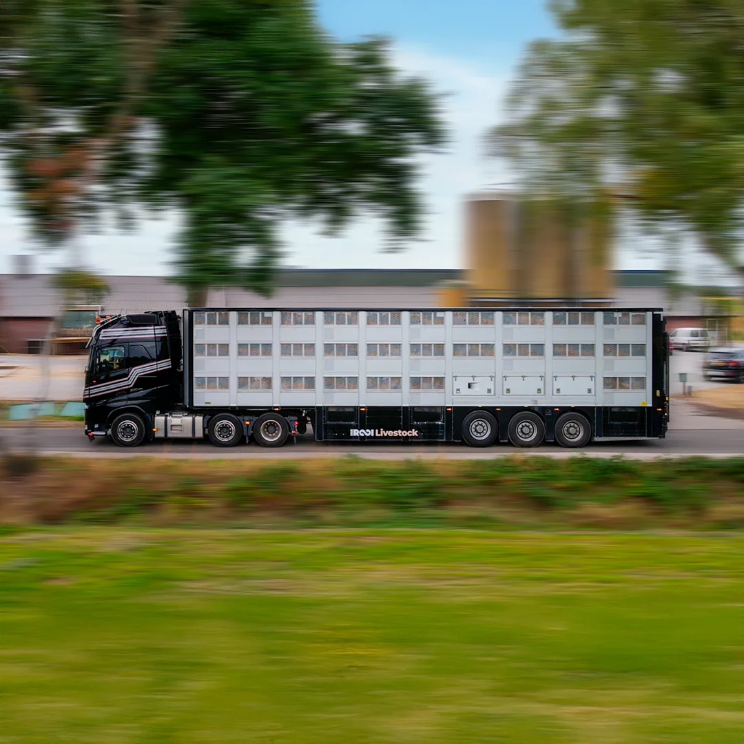 vanrooi-livestock-truck-rijden