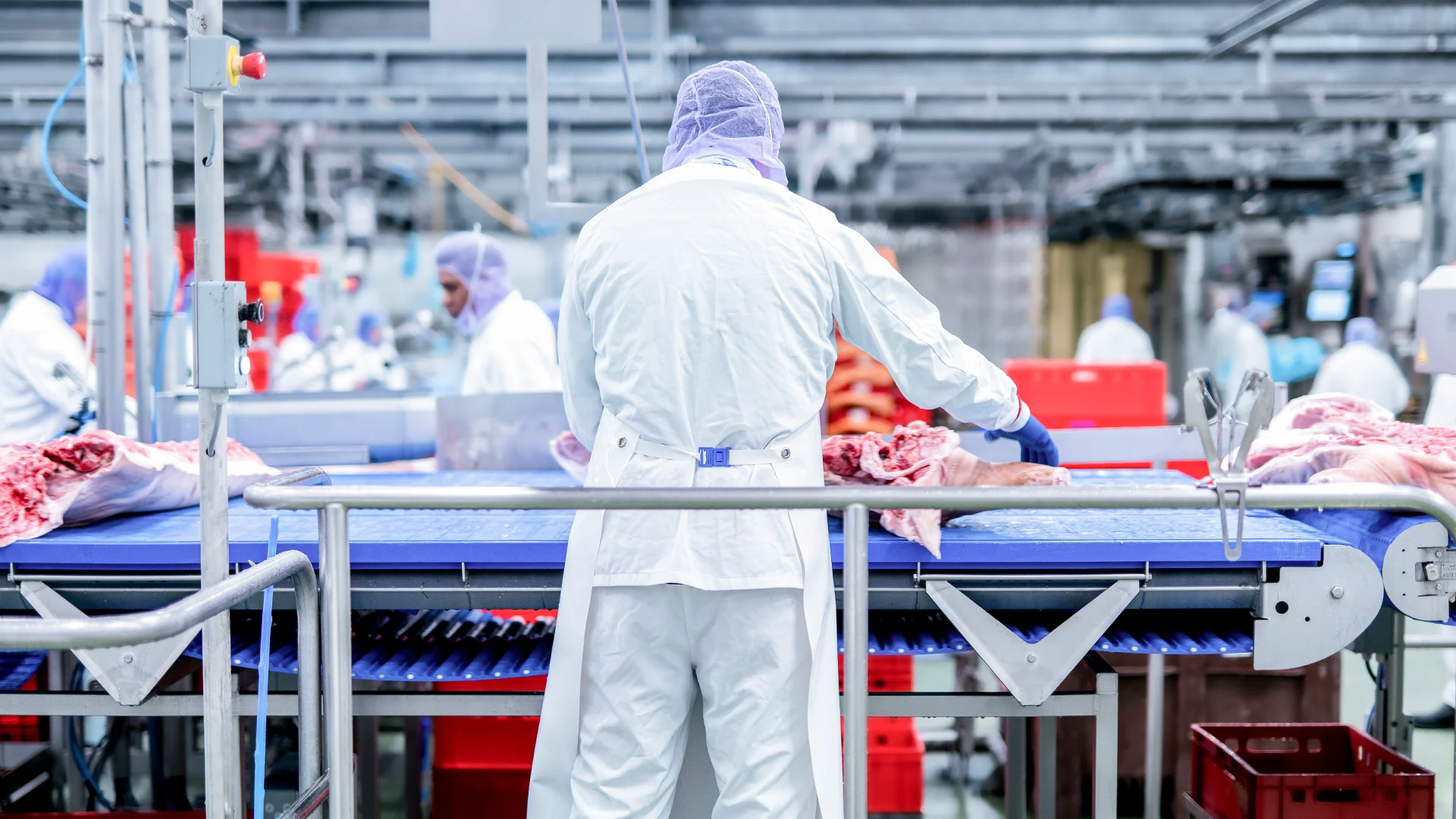 vanrooi-meat-header