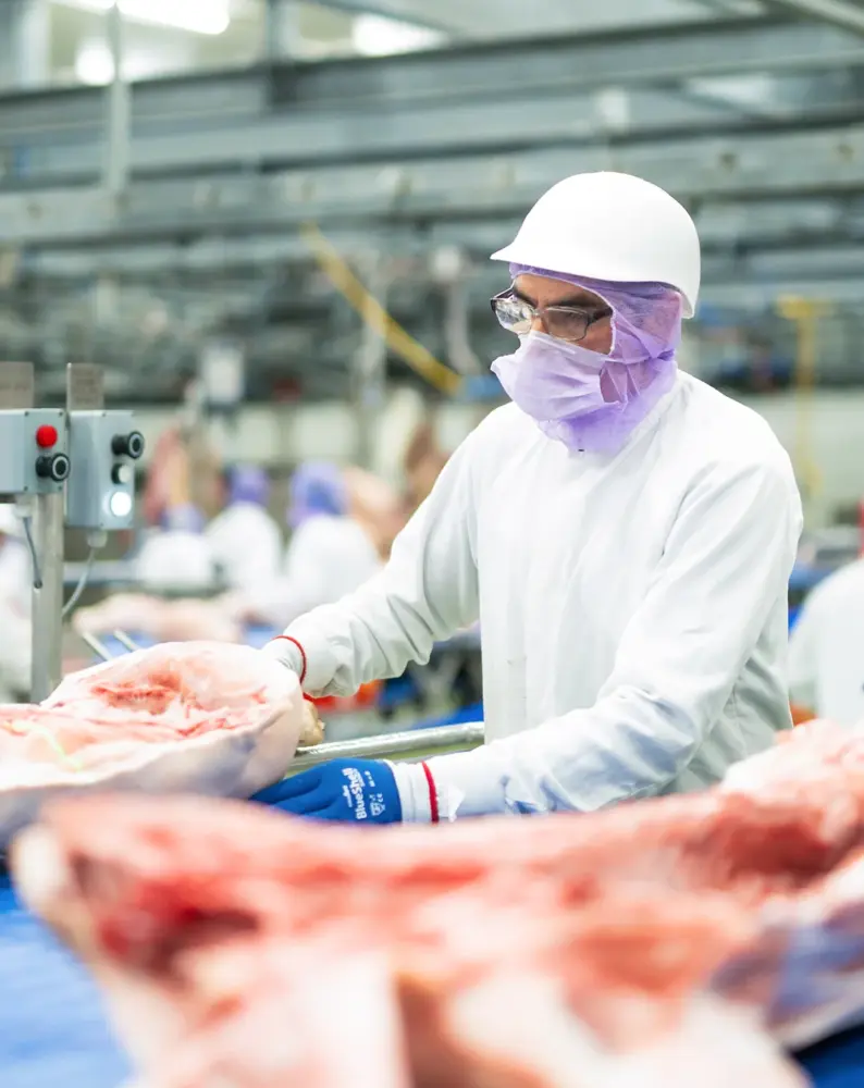 vanrooi-meat-proceslijn