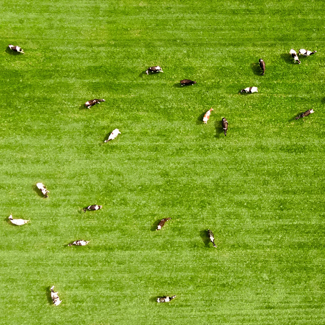 vanrooi-rund-weiland-topview2_1080x1080