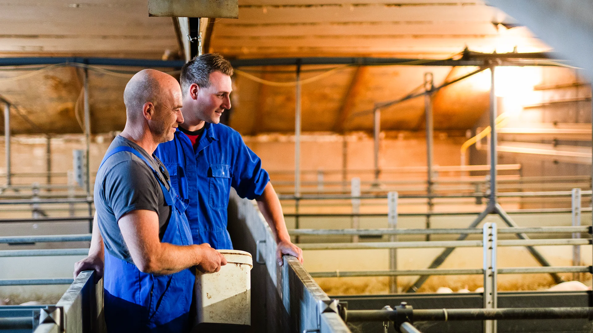 vanrooi-varkenshouder-stal-1920x1080px