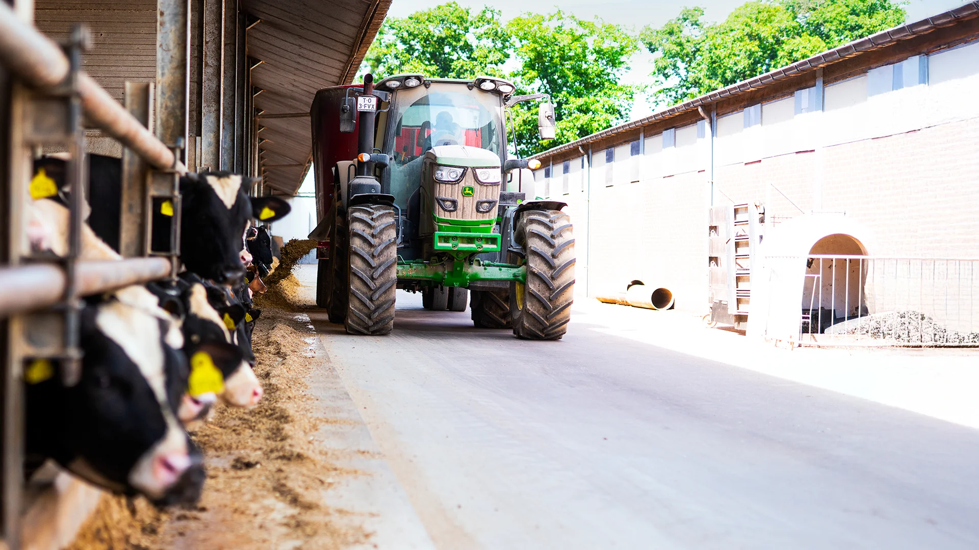 vanrooi-veehouder-tractor-voeren-rund