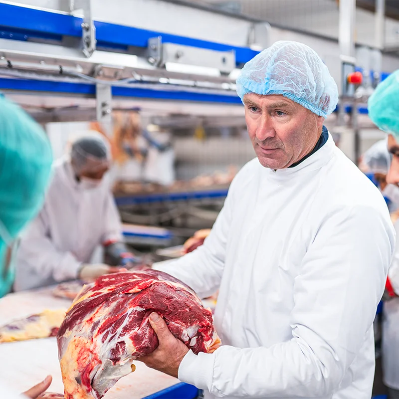 werkgebieden-productie